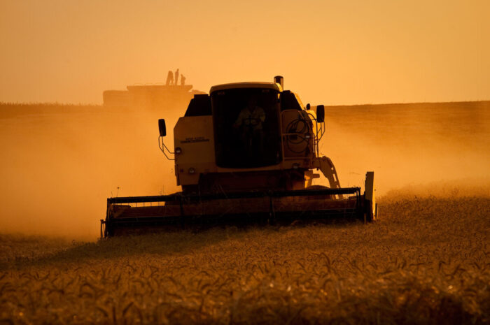 Entendendo a luz: o segredo da fotografia