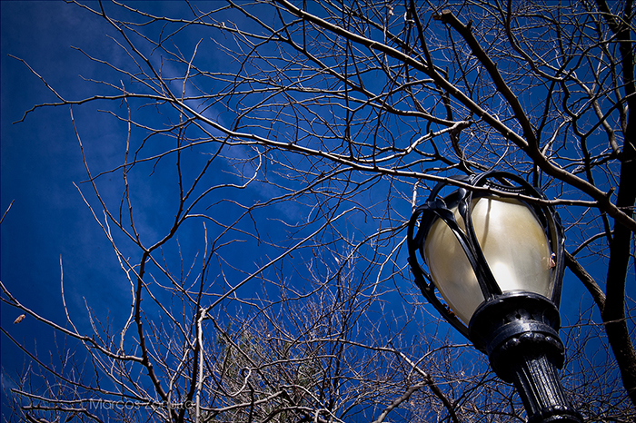 A magia da constância na fotografia: exercícios simples para treinar o olhar e deixar suas fotos cada vez mais atraentes